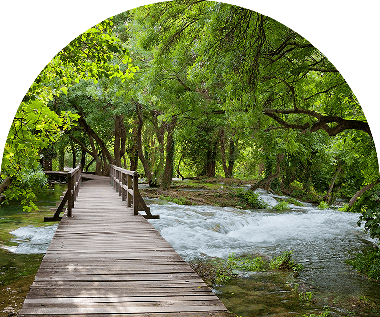 Wooden boardwalk through lush green forest beside flowing river.